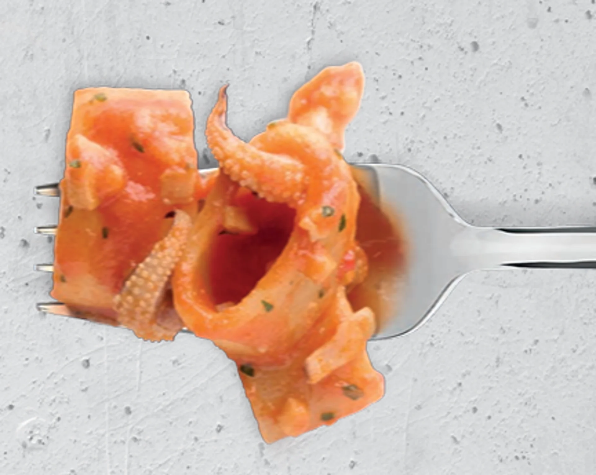MEZZI PACCHERI AL RAGÙ DI SEPPIA